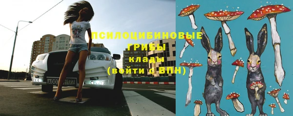 мескалин Каменка
