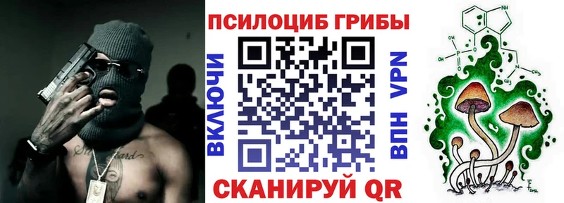 Купить  Шлиссельбург  Галлюциногенные грибы мицелий 