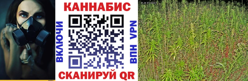 Купить где  Шлиссельбург  Конопля гибрид 